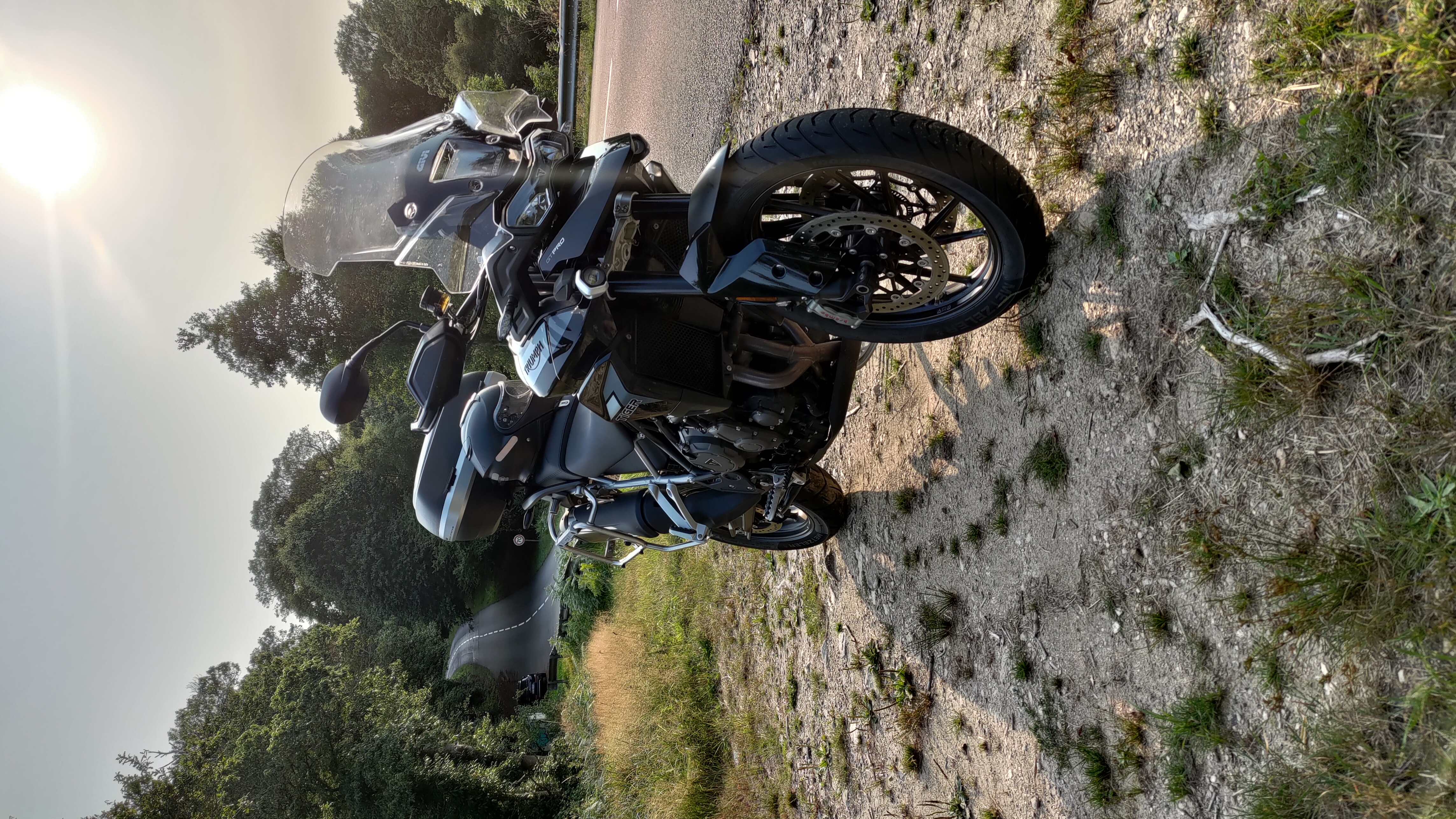 TRIUMPH TIGER GT PRO NOIR